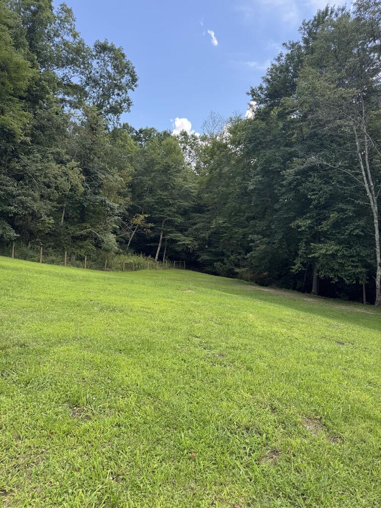 68 Rhododendron Drive Jumping Branch, WV 25969 - Photo 17 of 26 Gallery Image 17