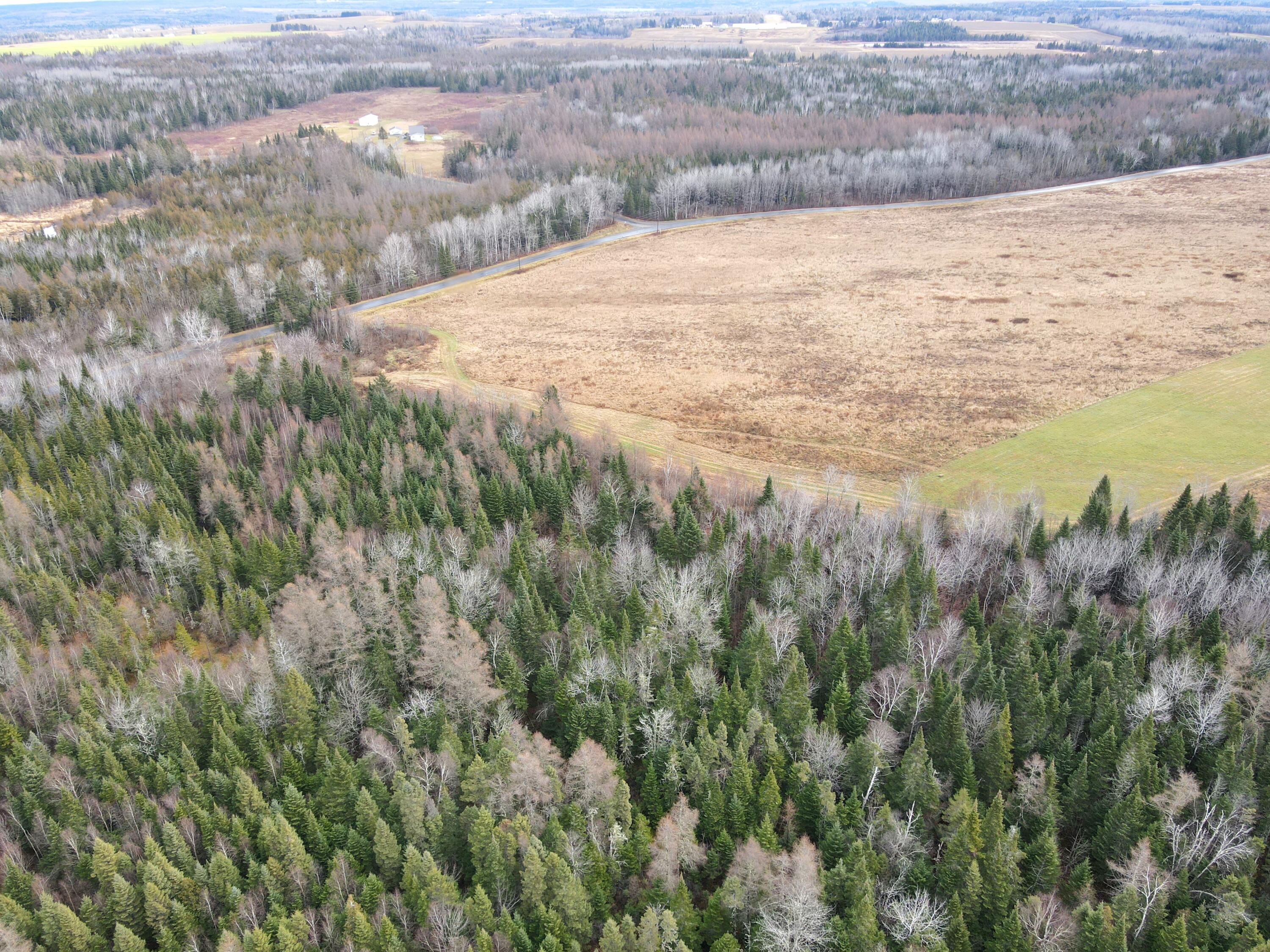 480 Plante Road Caribou, ME 04736 - Photo 13 of 25 dji_fly_20241116_100650_965_173201762749