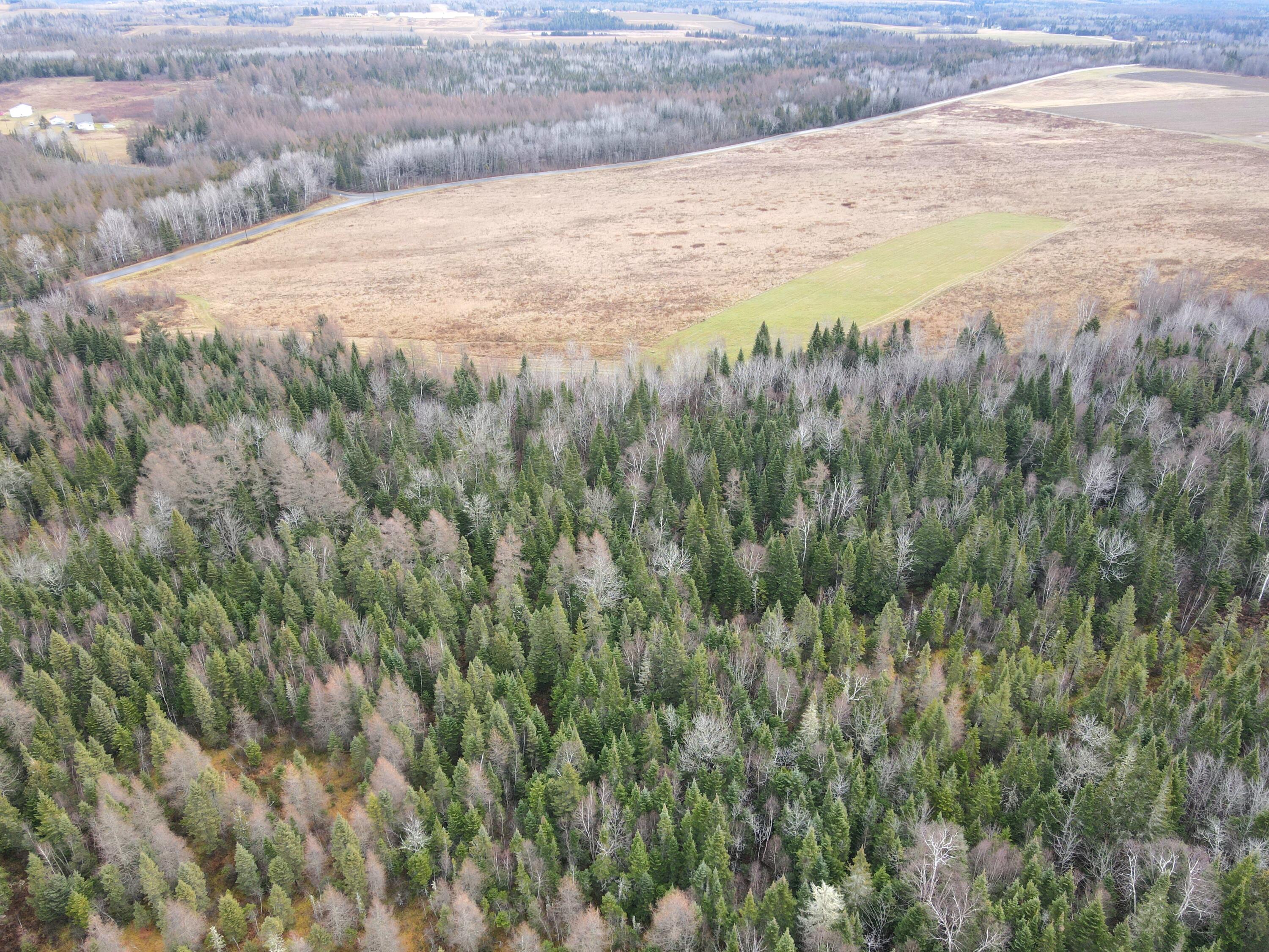 480 Plante Road Caribou, ME 04736 - Photo 14 of 25 dji_fly_20241116_100640_964_173201762939
