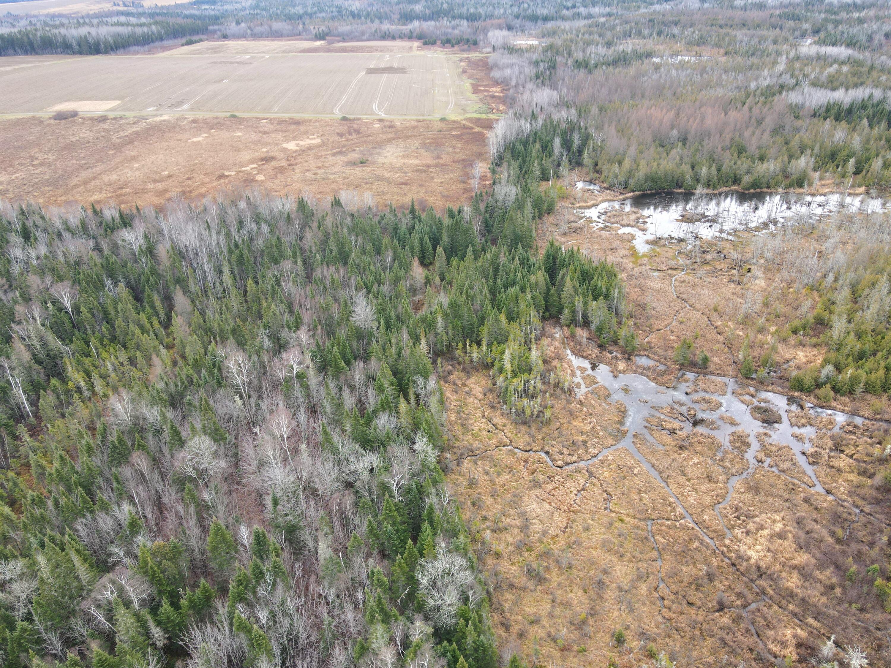 480 Plante Road Caribou, ME 04736 - Photo 16 of 25 dji_fly_20241116_100618_956_173201764491