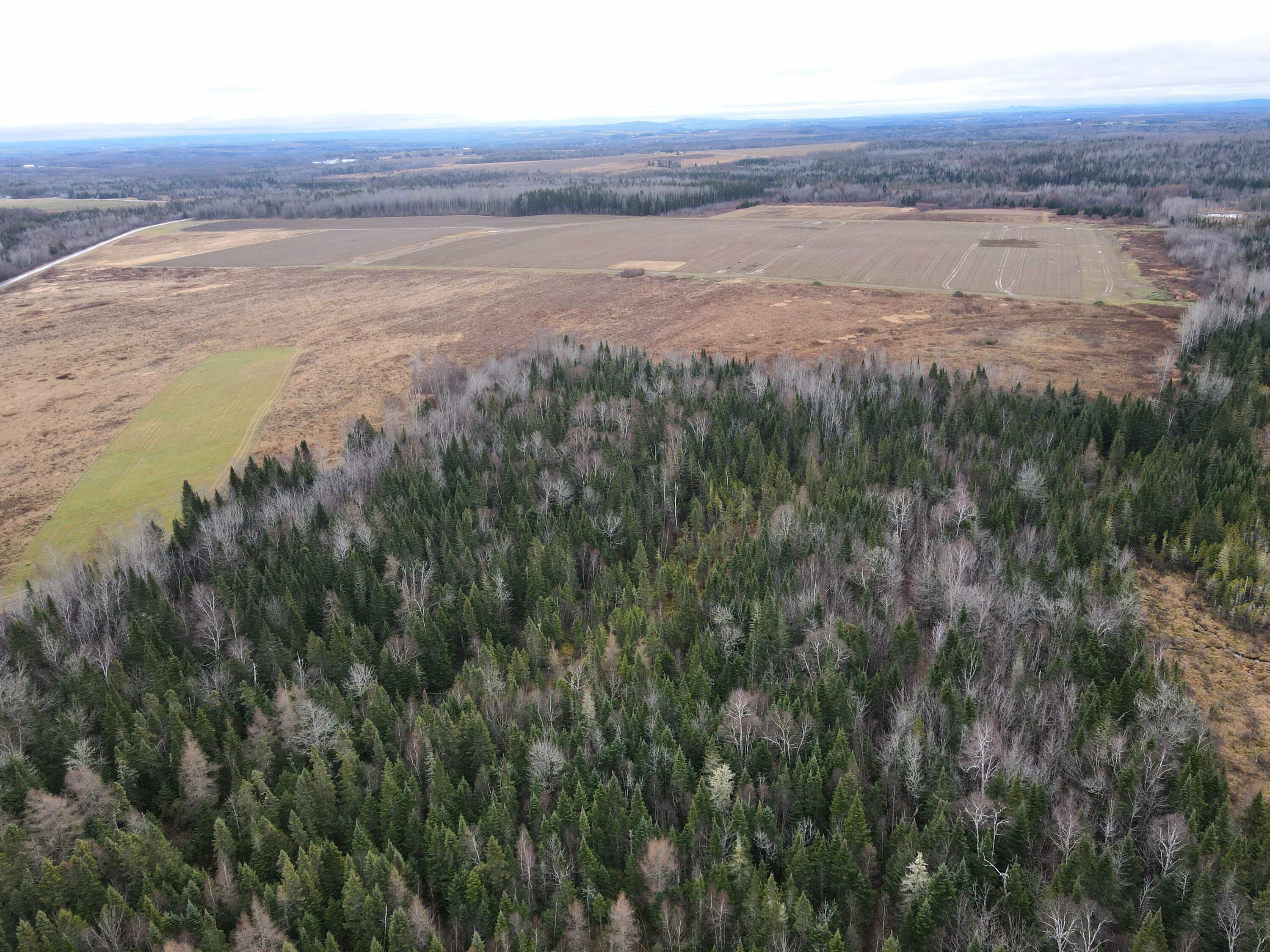 480 Plante Road Caribou, ME 04736 - Photo 18 of 25 dji_fly_20241116_100558_953_173201764989