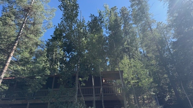 9 Pond Road Sapello, NM 87745 - Photo 43 of 46