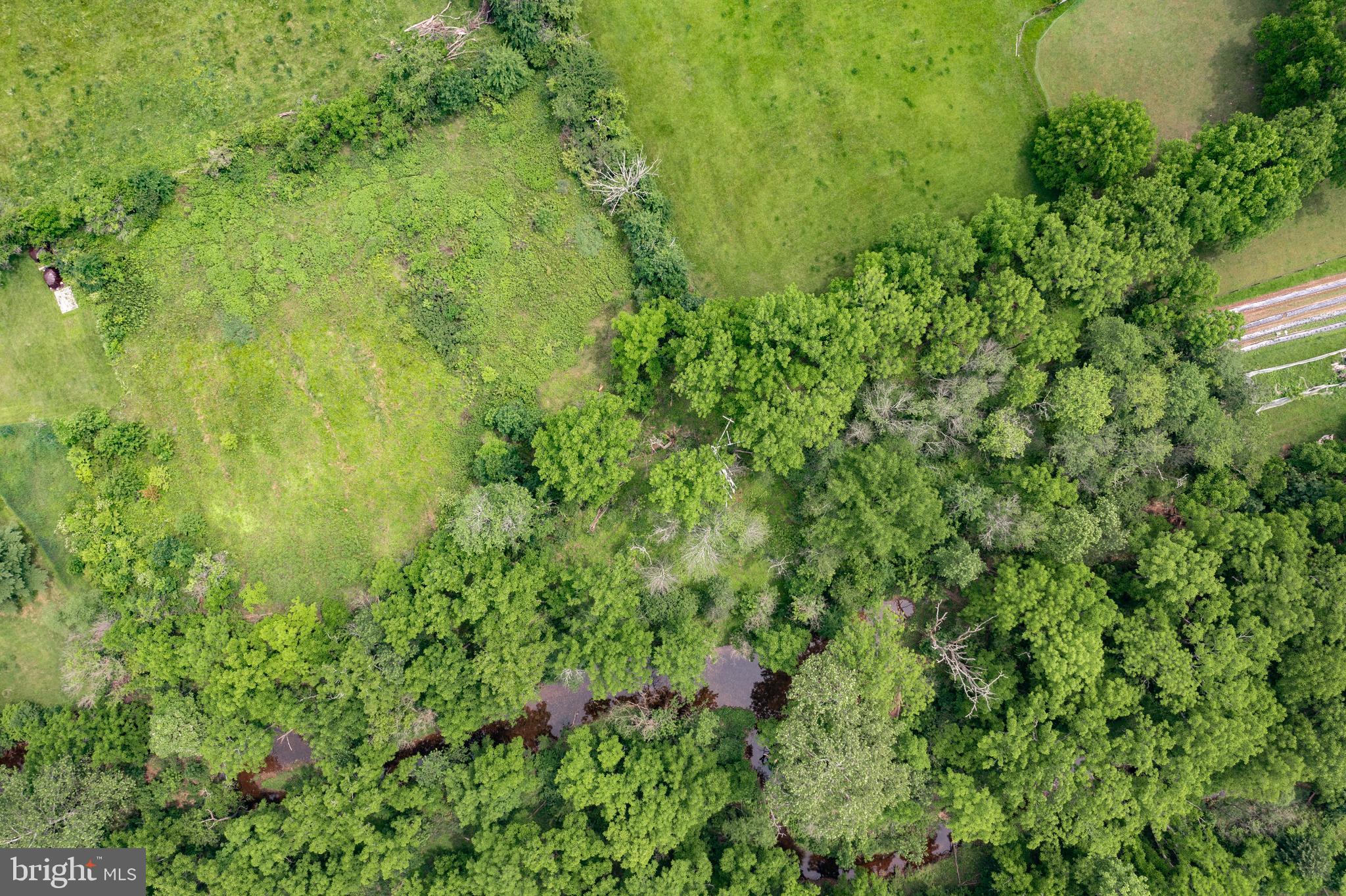 Building Package Building Package Callowhill Road Perkasie, PA 18944 - Photo 12 of 12 a view of a lush green forest with large trees