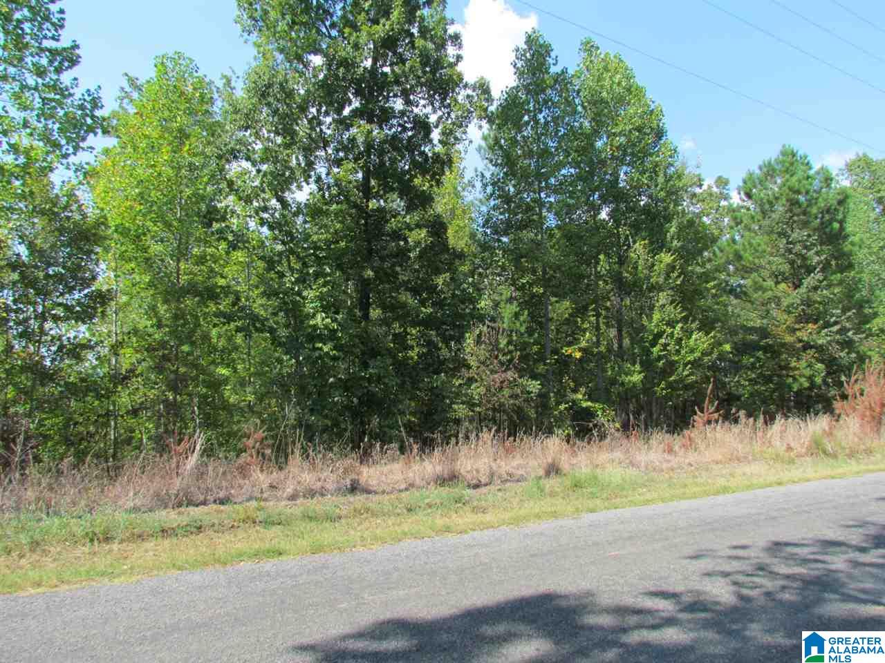 0 Wolf Pen Ridge Road Pell City, AL 35128 - Photo 4 of 13