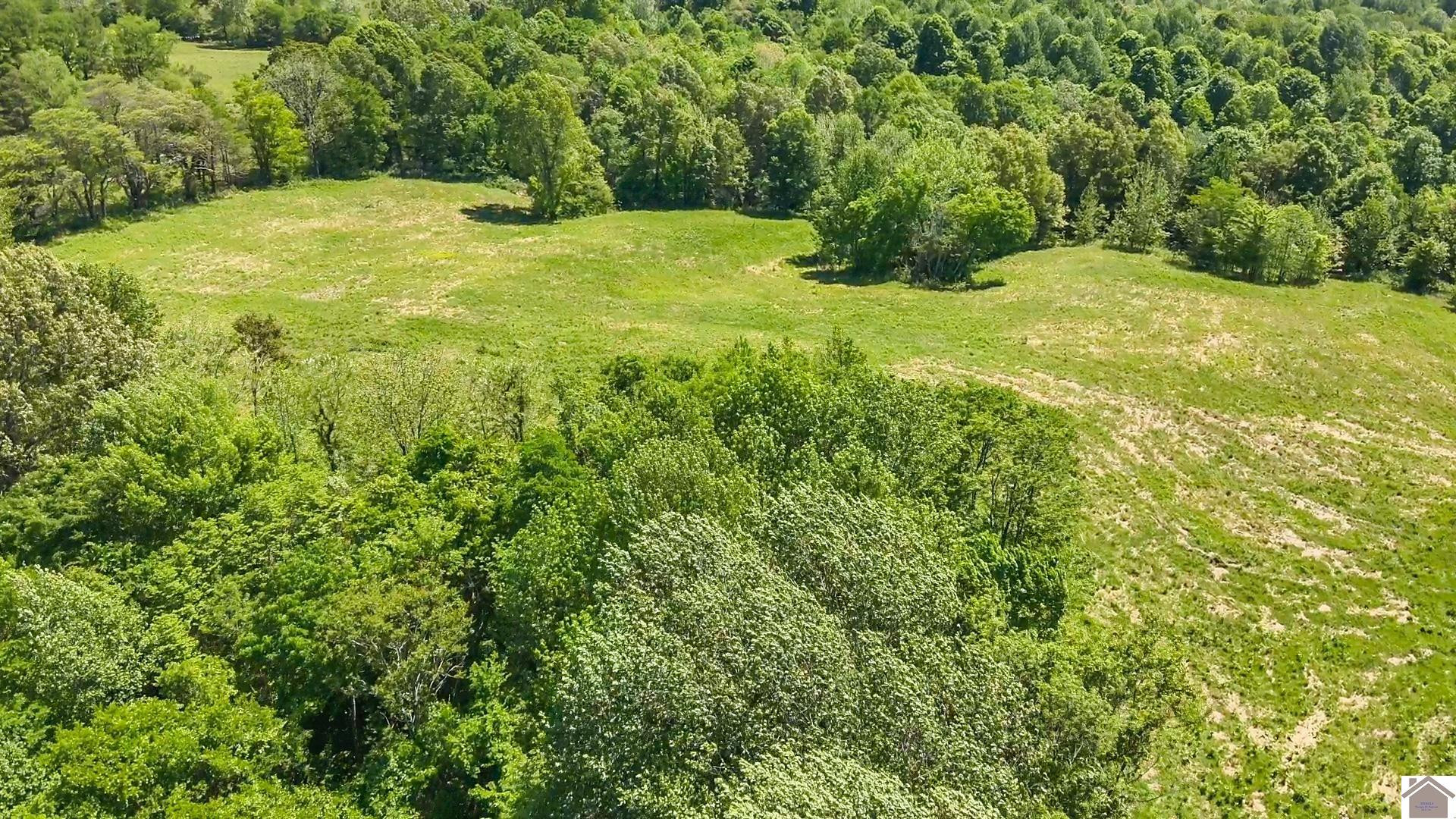 0 River Road Smithland, KY 42081 - Photo 6 of 13 Photo 6