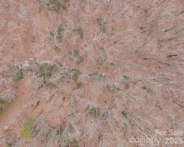 an aerial view of residential house and green space