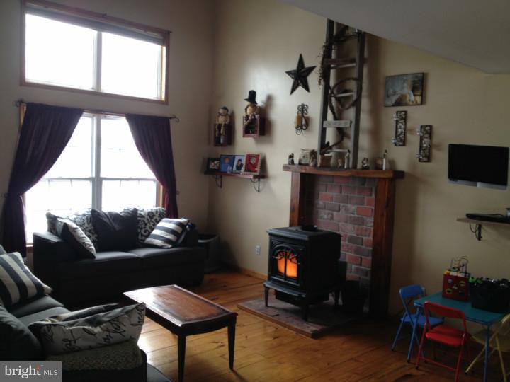 107 Bryants Corner Road Hartly, DE 19953 - Photo 3 of 10 Fireplace