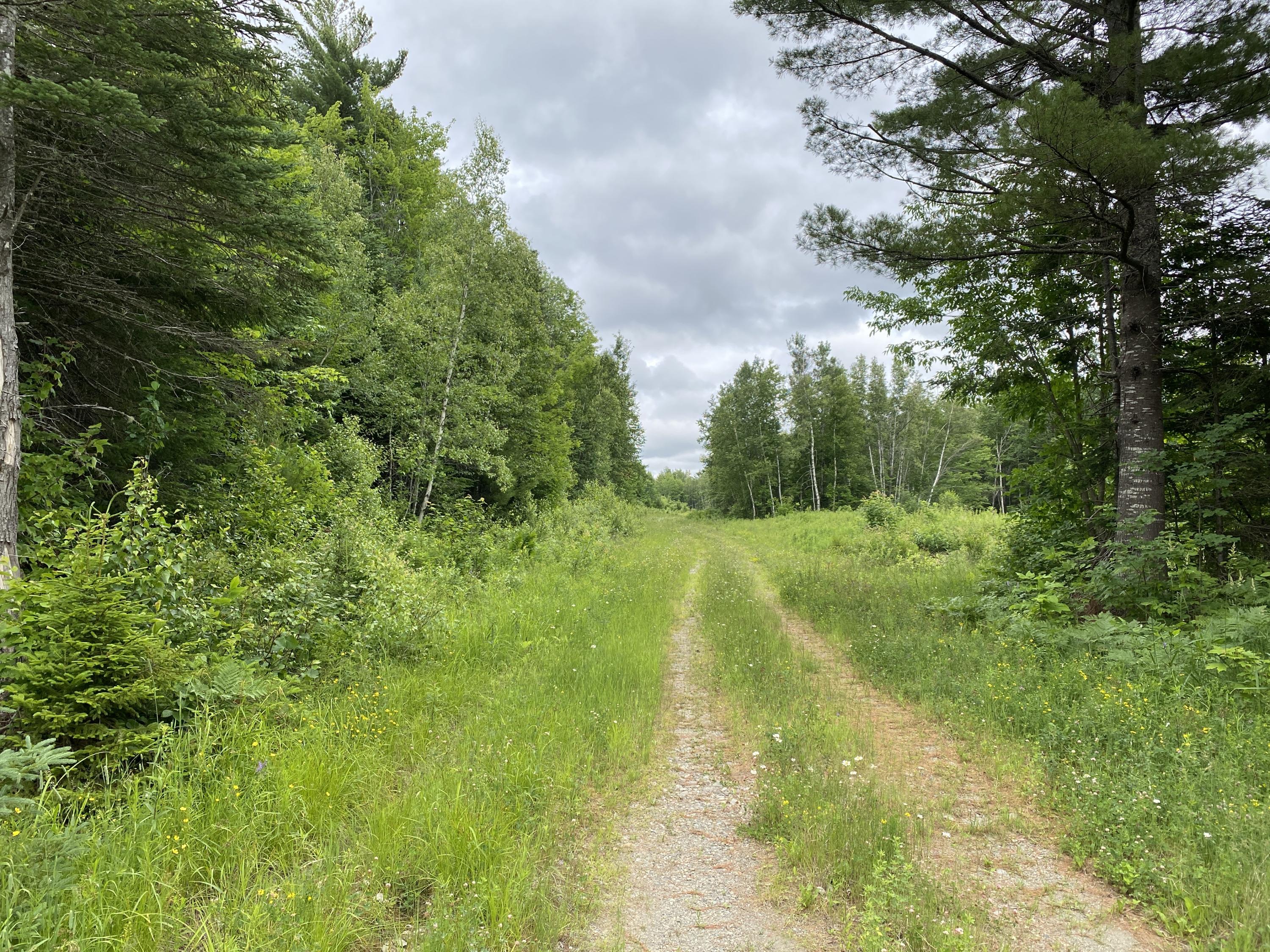 Lot 10 Averill Road Springfield, ME 04487 - Photo 9 of 18 IMG_0624