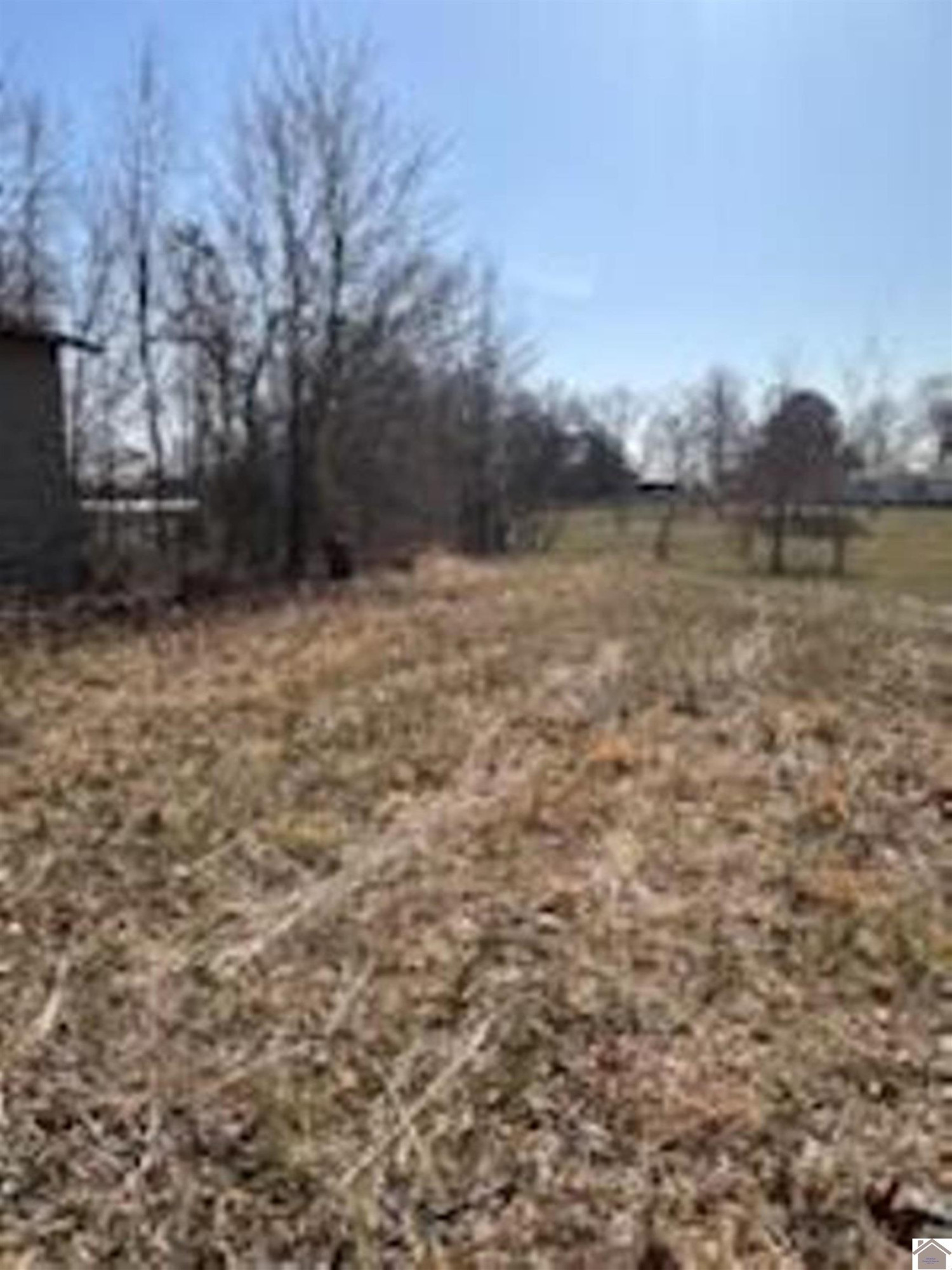 739 Armstrong Road Smithland, KY 42081 - Photo 5 of 11 Photo 5