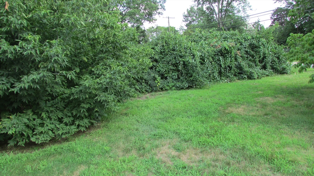 308 Salem Road Billerica, MA 01821 - Photo 2 of 32 Gallery Image 2