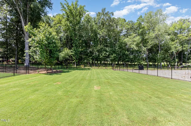 a view of yard with green space