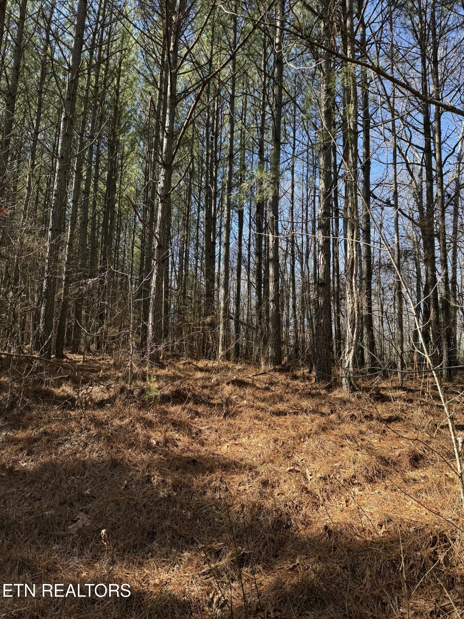 0 Sam Summers Road Rockwood, TN 37854 - Photo 3 of 4 tempImagei8NBnb