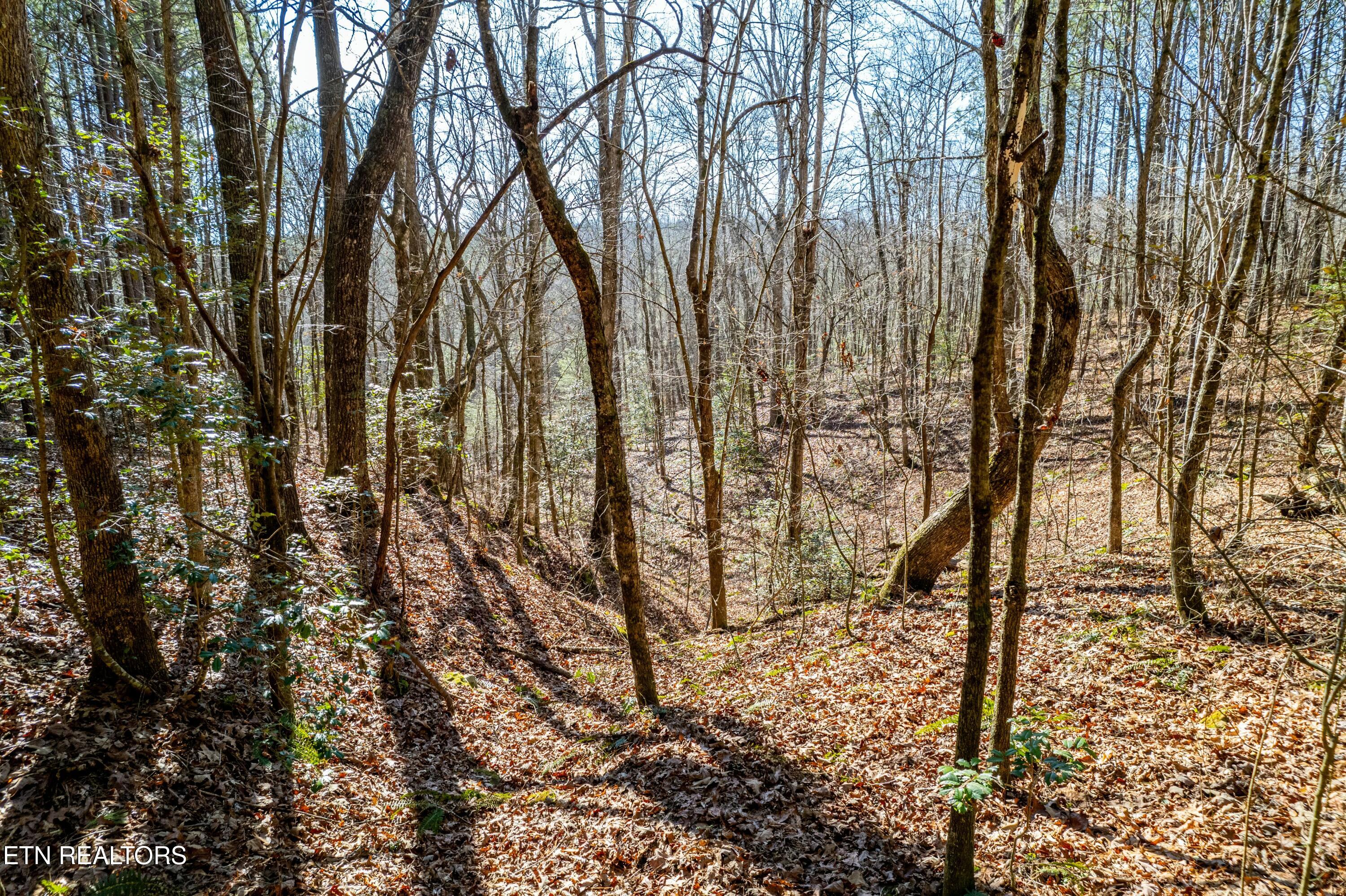 0 Sam Summers Road Rockwood, TN 37854 - Photo 4 of 4 tempImageYXjAAB