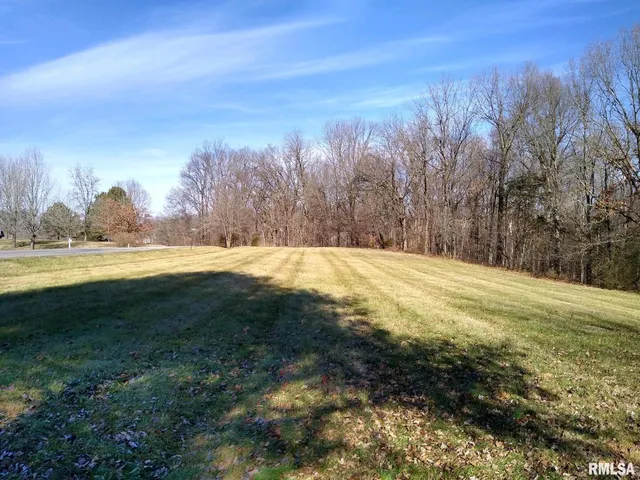 a view of an outdoor space and yard