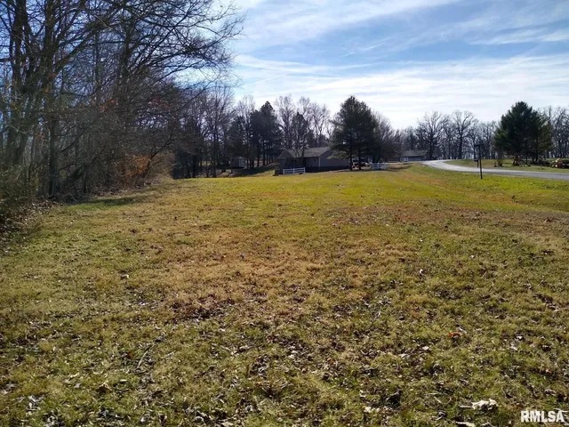a view of a yard with a house in the background