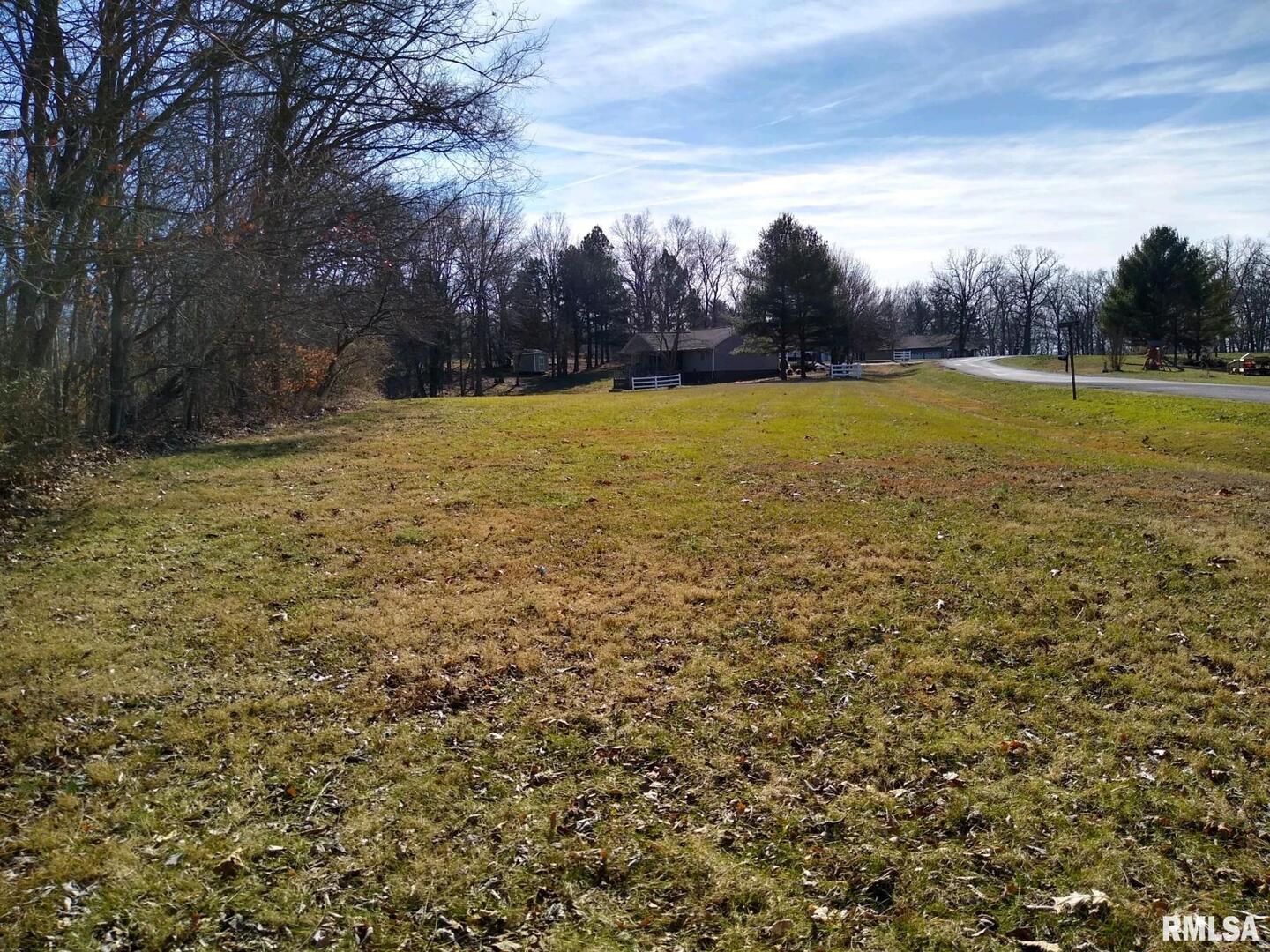 400 Walker Drive Vienna, IL 62995 - Photo 3 of 7 a view of a yard with a house in the background