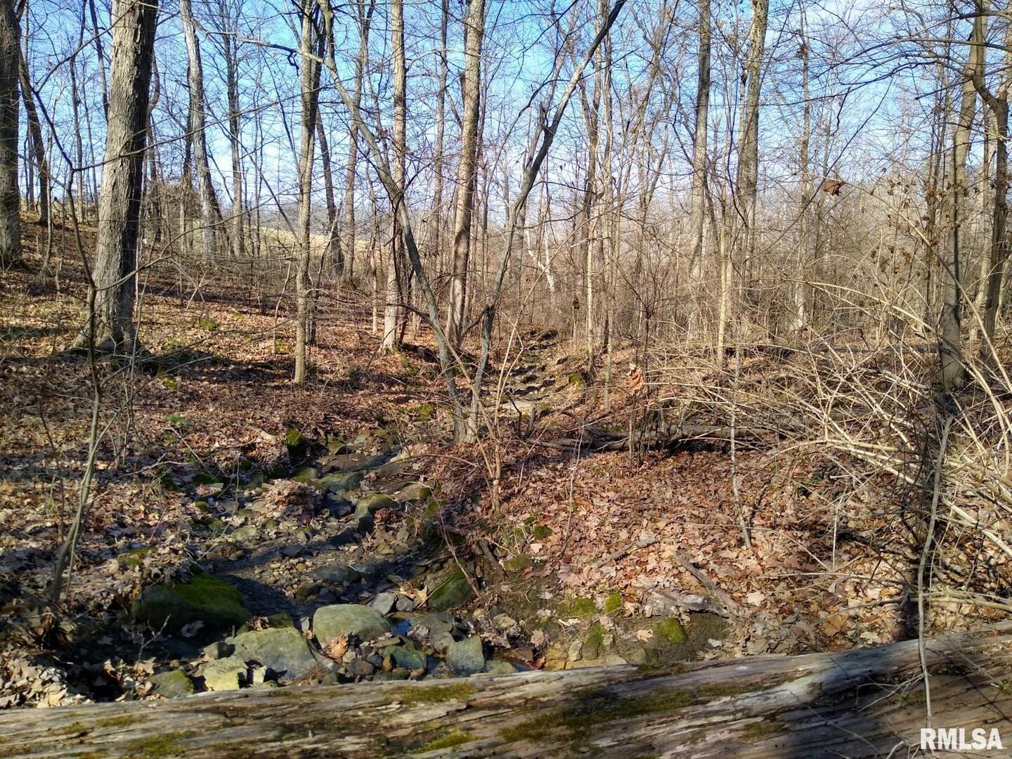 400 Walker Drive Vienna, IL 62995 - Photo 4 of 7 a view of a yard with lots of bushes