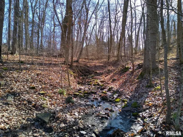 a view of house with trees