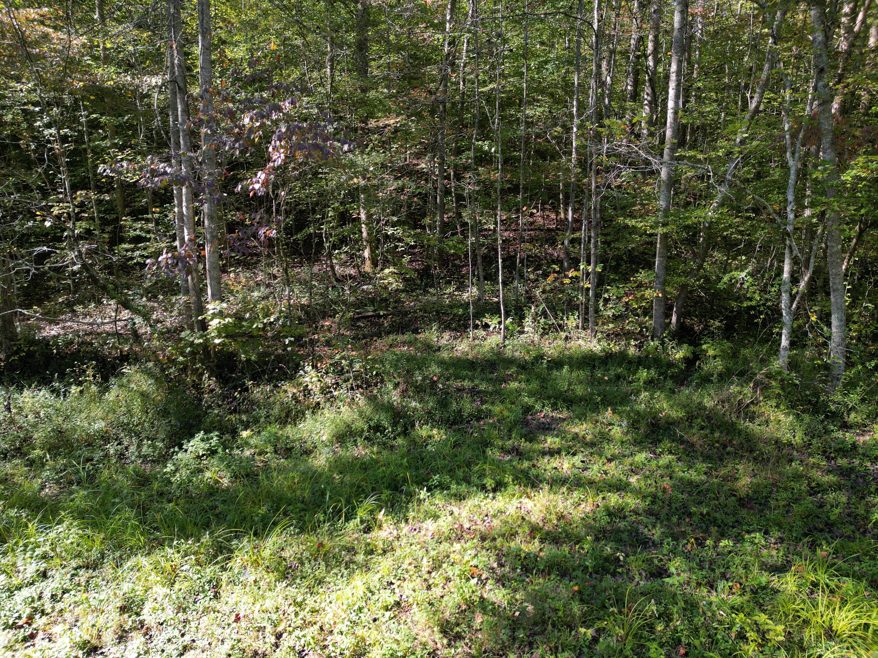 9999 Reed Branch Road Manchester, KY 40962 - Photo 28 of 48 DJI_0799