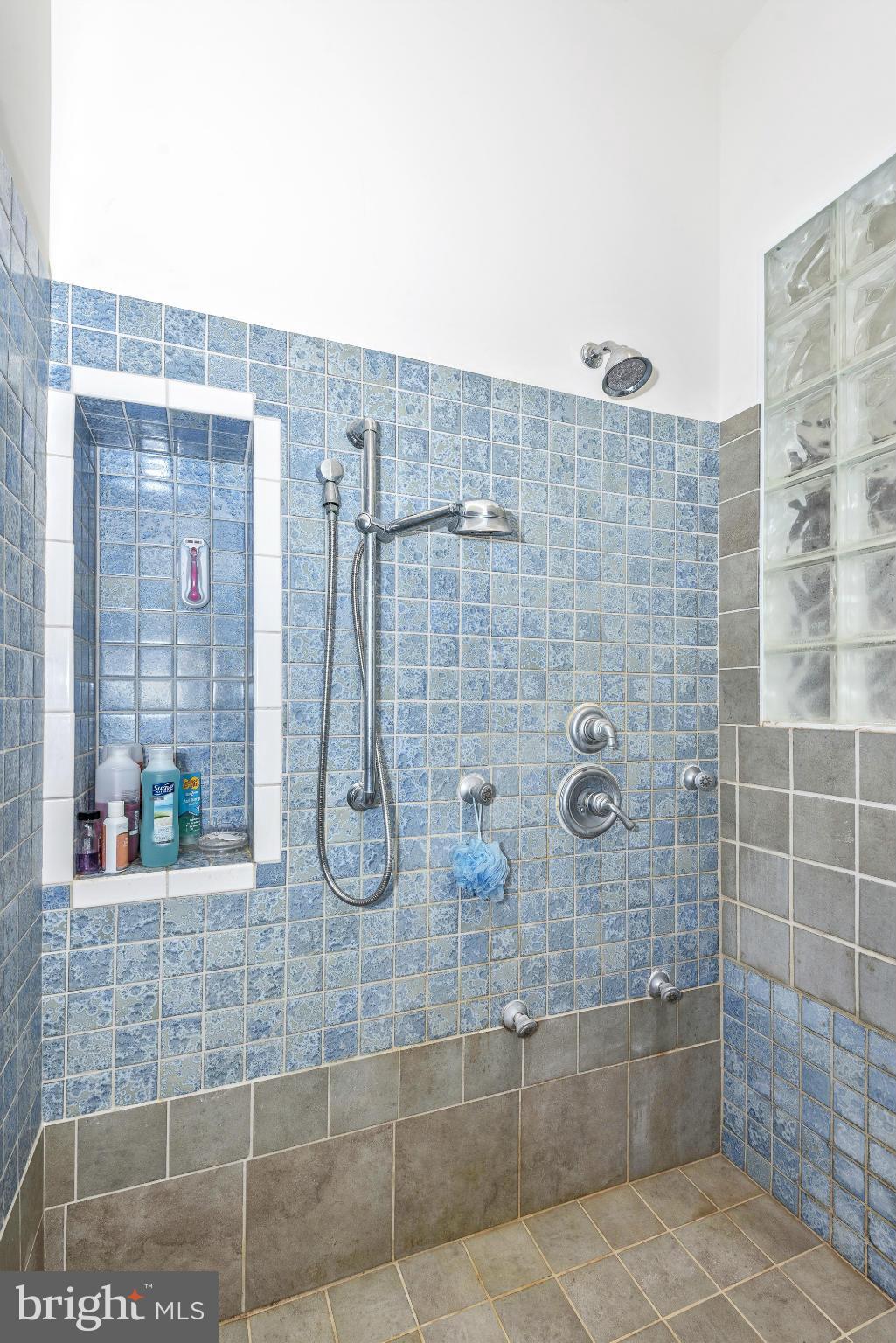 14014 Poplar Grove Road Hagerstown, MD 21742 - Photo 16 of 30 Hand-tiled Double Shower