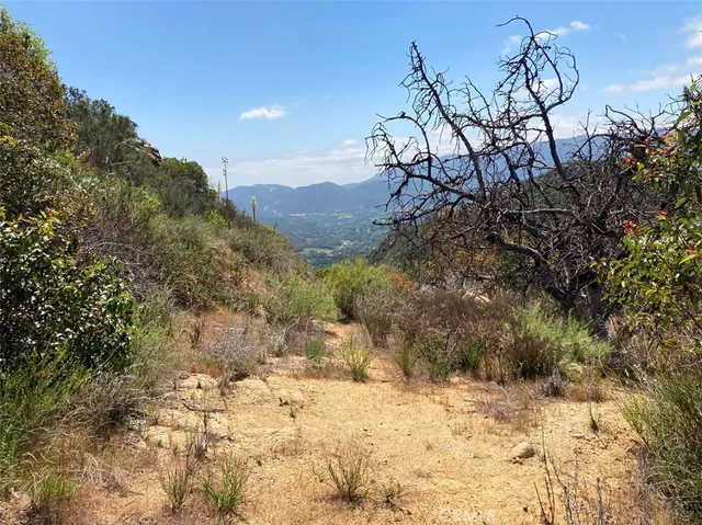 a view of a yard with a tree