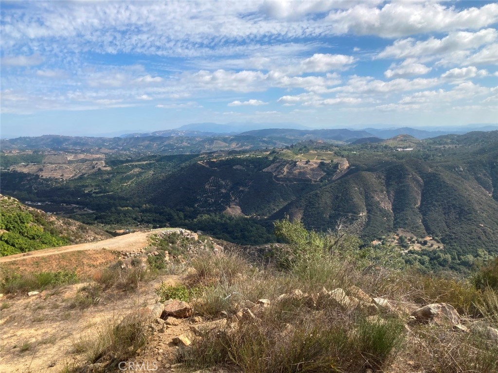 2 DanEri Lane Temecula, CA 92590 - Photo 6 of 16 a view of a yard with a tree