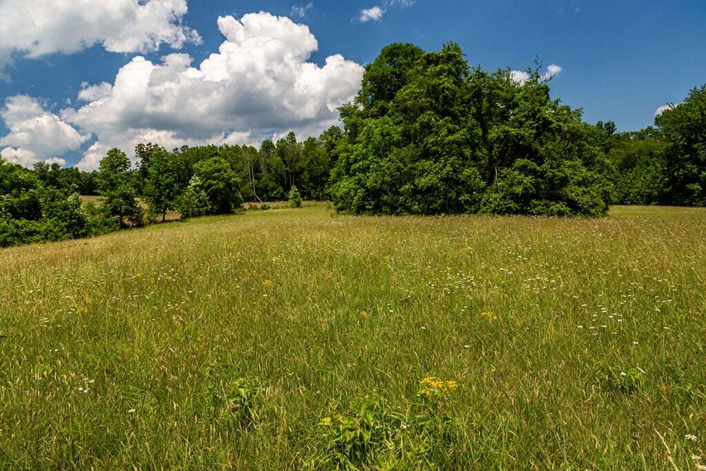 1401 Jewett Road Grandview, TN 37337 - Photo 26 of 63 26