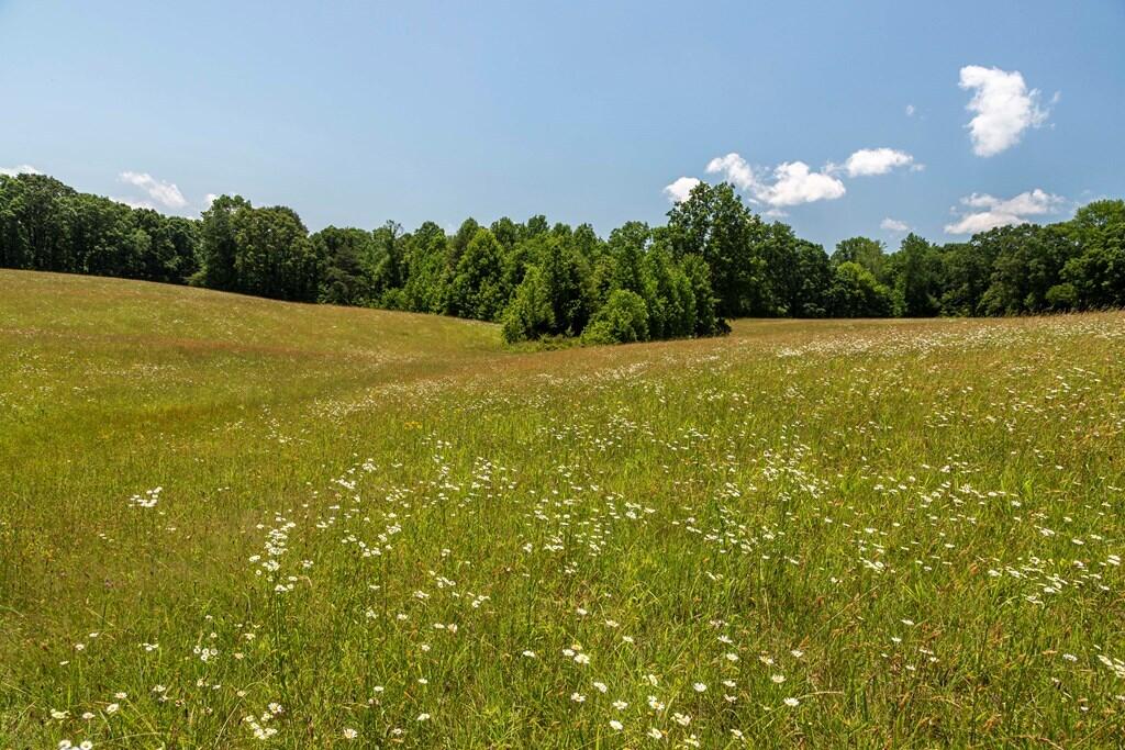 1401 Jewett Road Grandview, TN 37337 - Photo 42 of 63 43