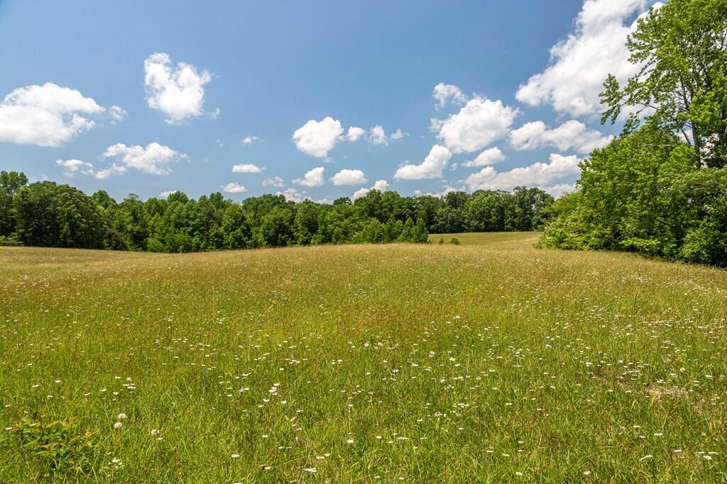 1401 Jewett Road Grandview, TN 37337 - Photo 45 of 63 46