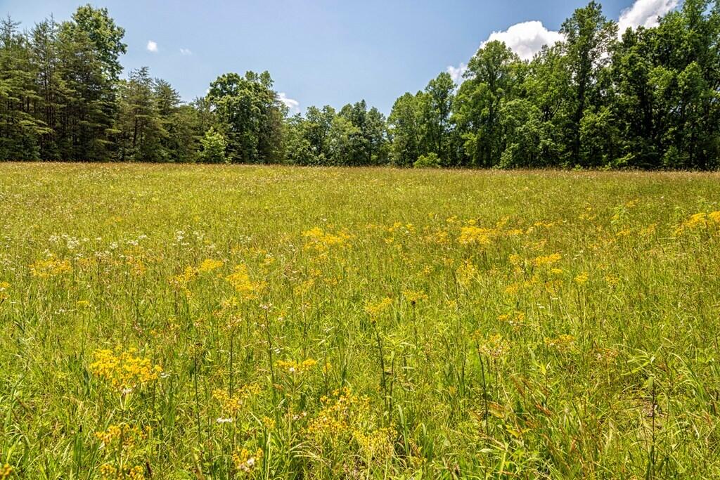 1401 Jewett Road Grandview, TN 37337 - Photo 46 of 63 47