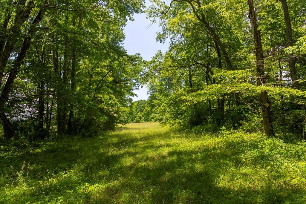 1401 Jewett Road Grandview, TN 37337 - Photo 48 of 63 49