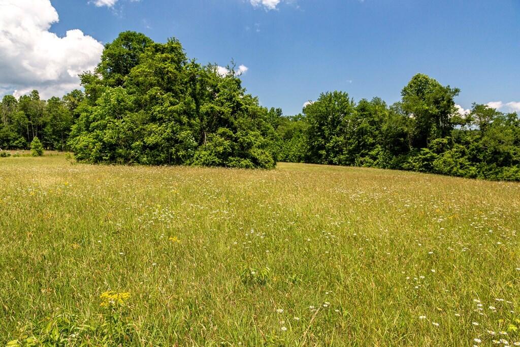 1401 Jewett Road Grandview, TN 37337 - Photo 51 of 63 52