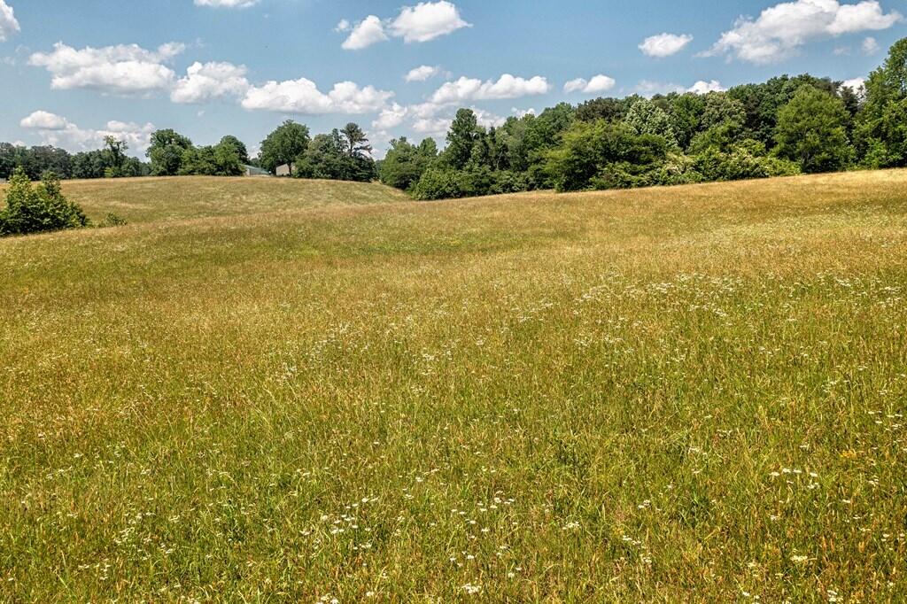 1401 Jewett Road Grandview, TN 37337 - Photo 55 of 63 56