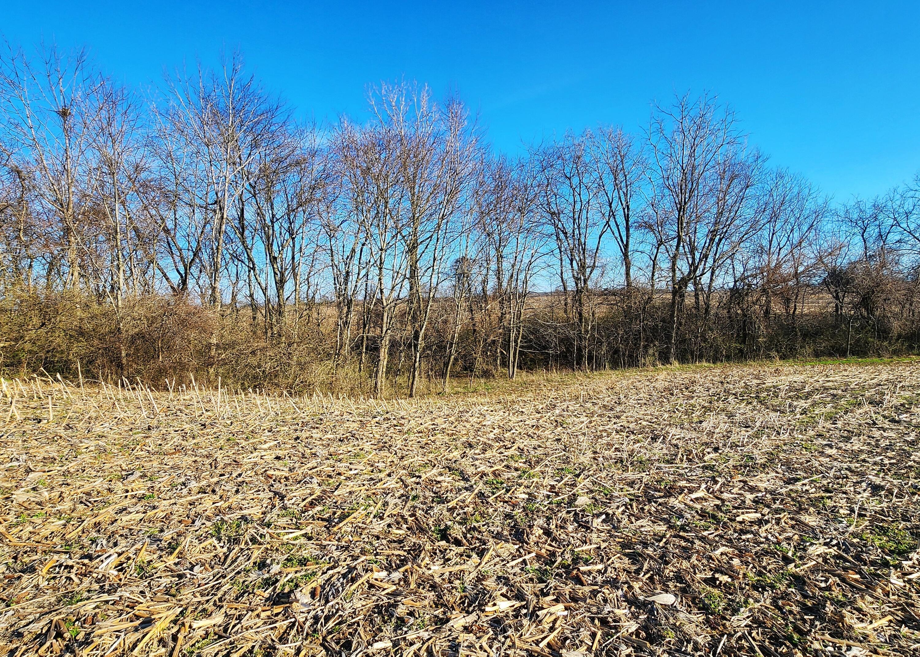 0 Justus Road Southwest Amanda, OH 43102 - Photo 29 of 32 Justus Rd SW 31