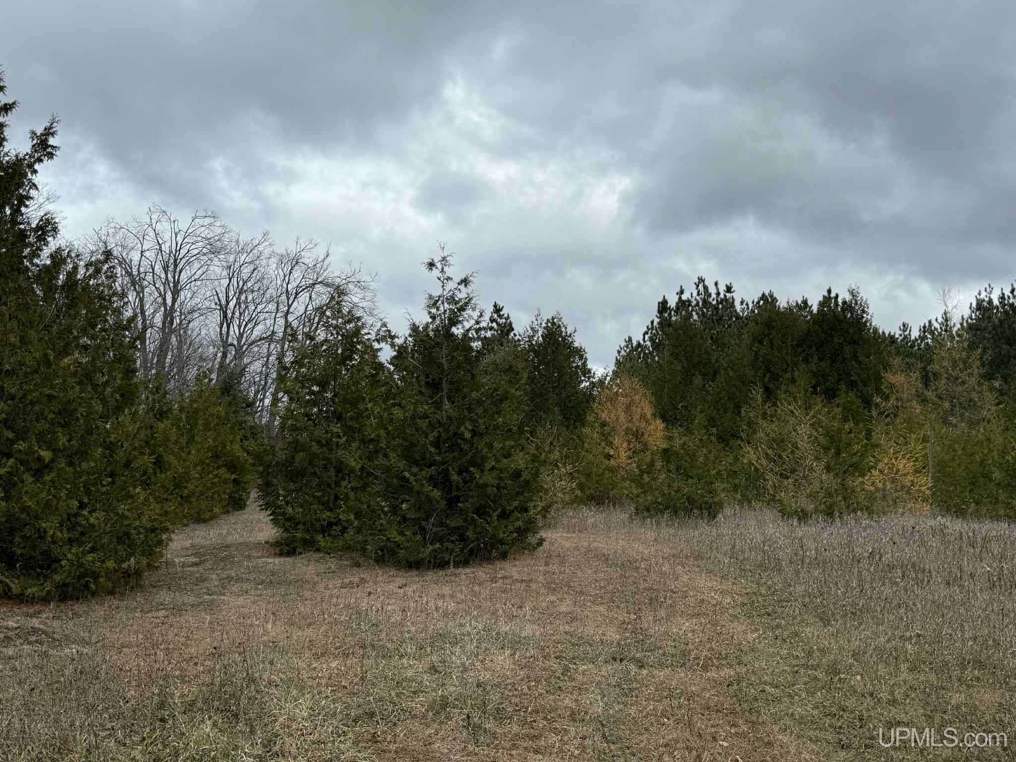 Tbd Tbd Appleford Road Moran, MI 49760 - Photo 8 of 24