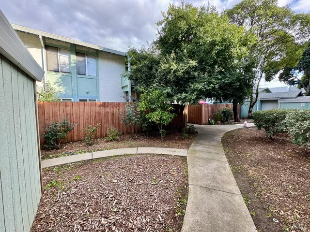 a view of a back yard