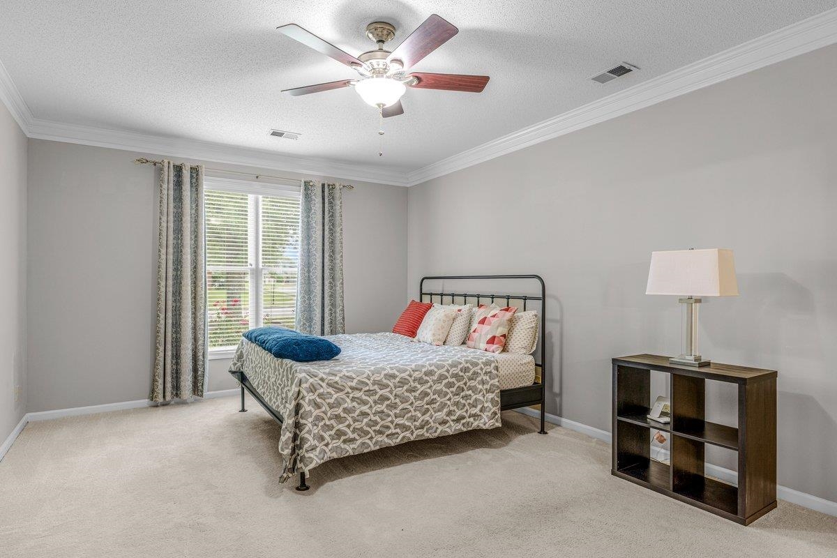 4840 Rainy Pass Road Collierville, TN 38017 - Photo 10 of 30 Carpeted room featuring a ceiling fan with light fixture, crown molding, and a window with blinds