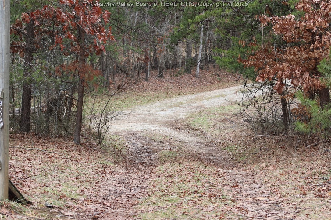 214 Spruce Run Road Ripley, WV 25271 - Photo 2 of 45 Gallery Image 2