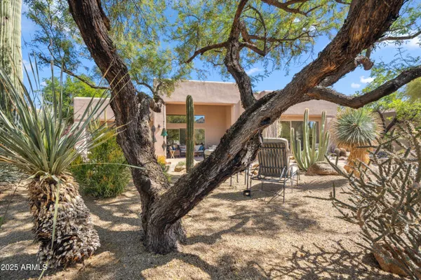a view of a house with a tree in front
