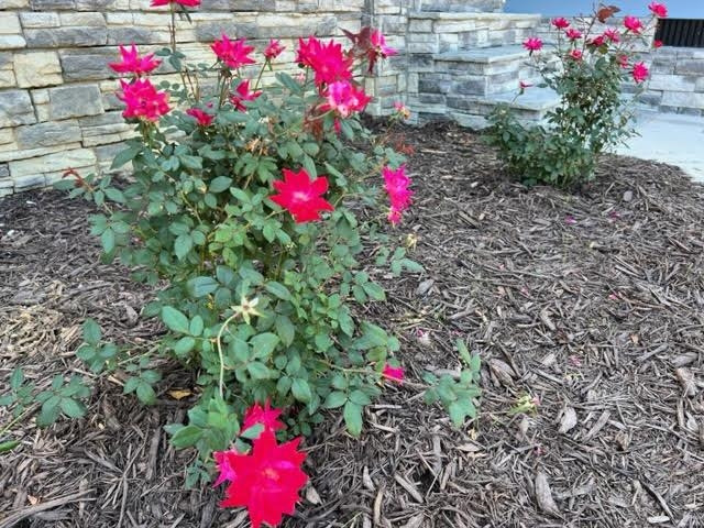 133 Red Rocks Circle Benson, NC 27504 - Photo 36 of 36 Photo 37