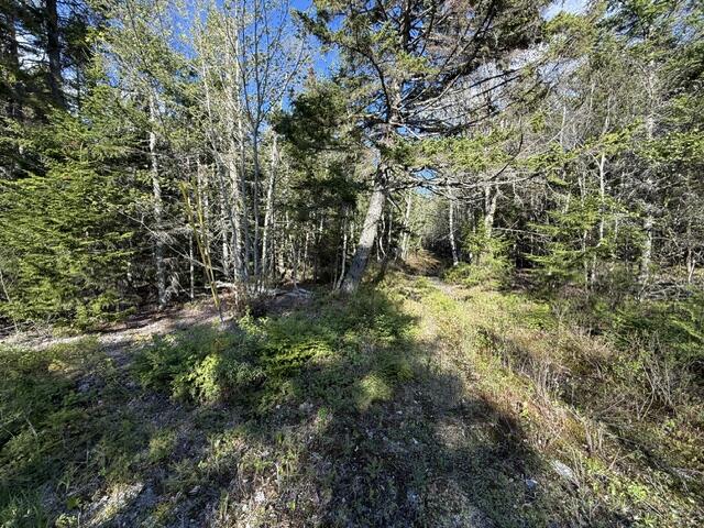Lot 13 Pidgeon Point Road Whiting, ME 04691 - Photo 10 of 25 IMG_9960 (1)