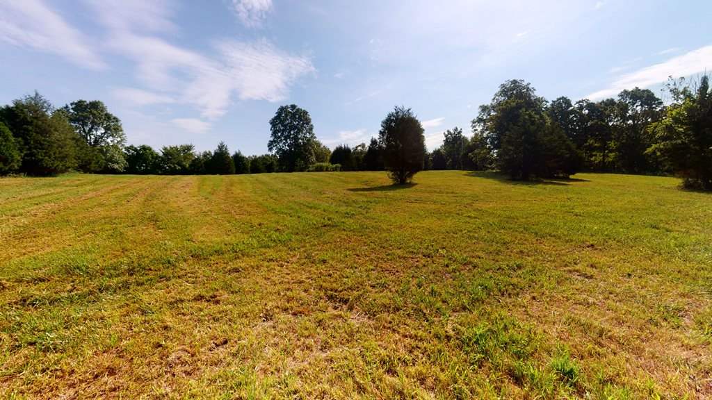 703 Osborne Road Adolphus, KY 42120 - Photo 19 of 22 Gallery Image 19