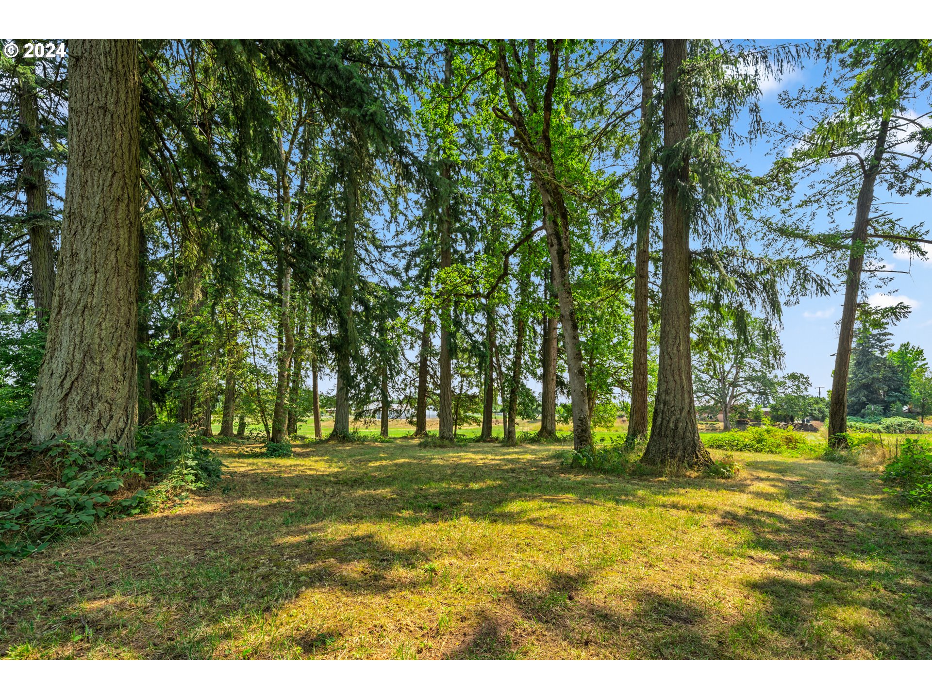 18908 Northeast 65th Street Vancouver, WA 98682 - Photo 48 of 48