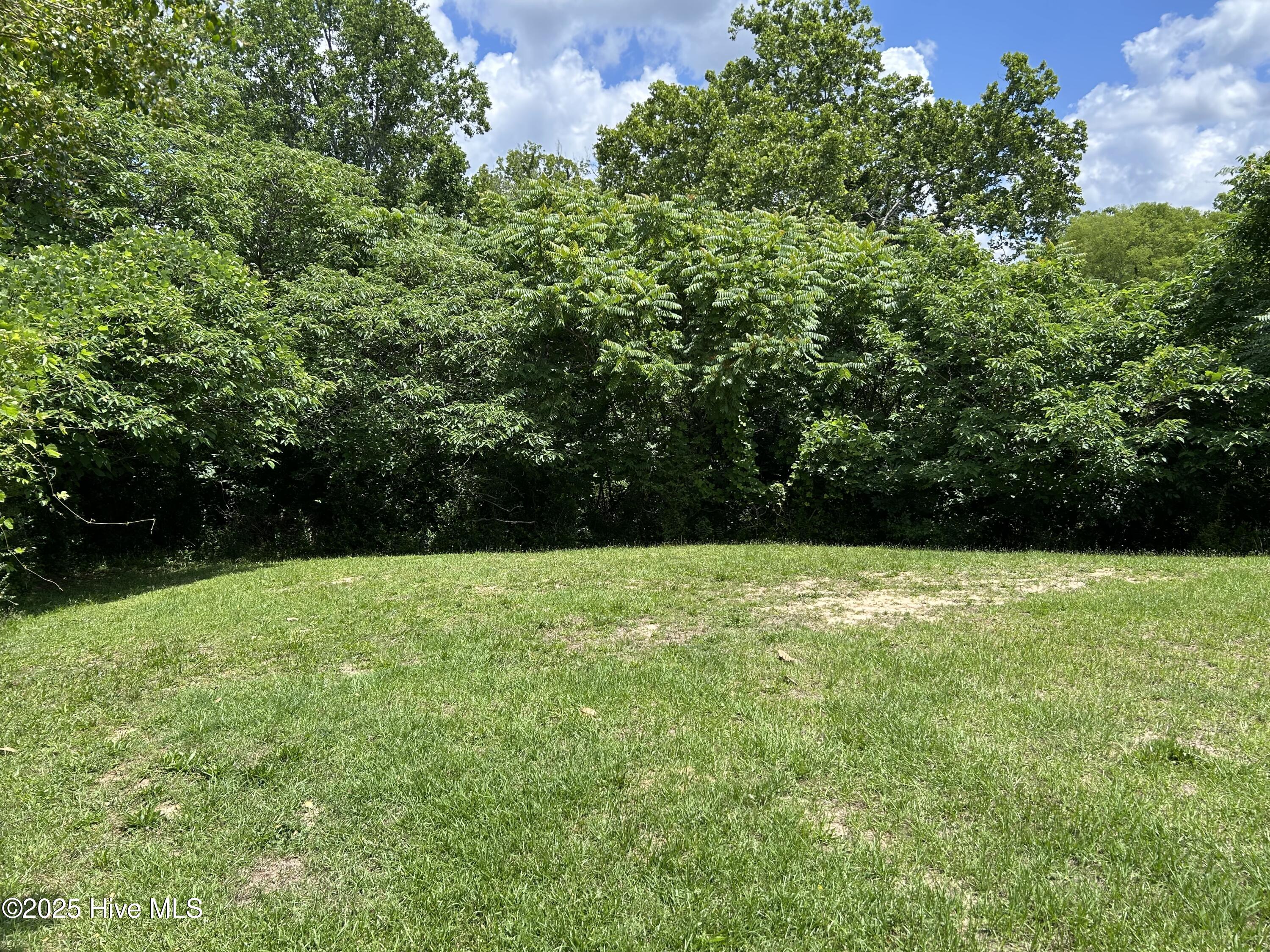 106 West Barrett Street Carthage, NC 28327 - Photo 2 of 7 IMG_5538