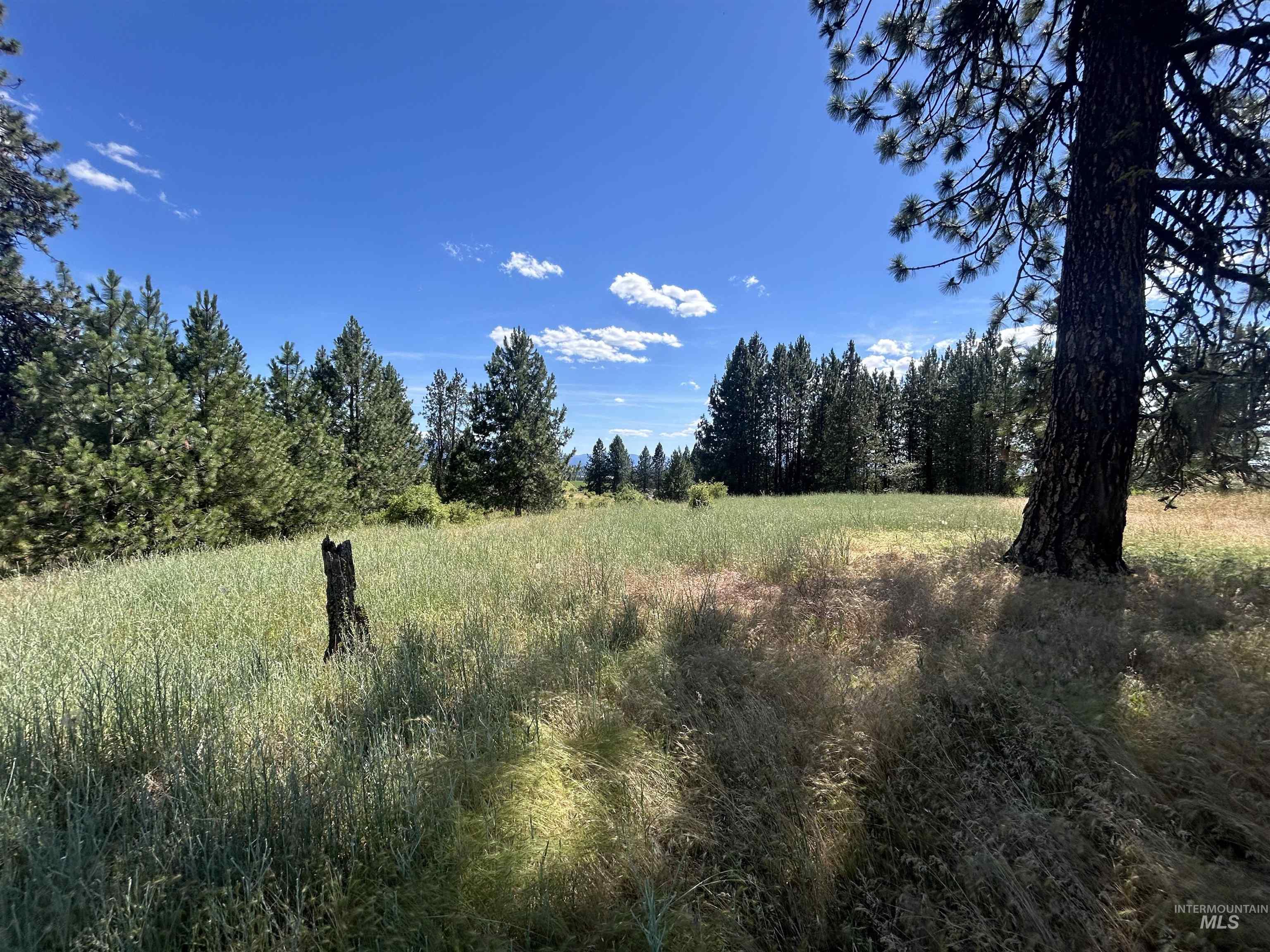 Tbd Lot 2 Tbd Road Kooskia, ID 83539 - Photo 9 of 15