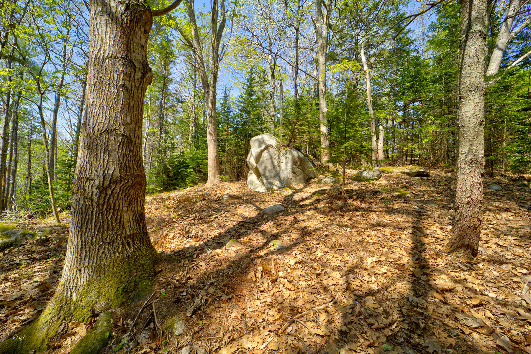 Tbd Frank's Flat Sedgwick, ME 04676 - Photo 23 of 54 Frank's Flat Land 5