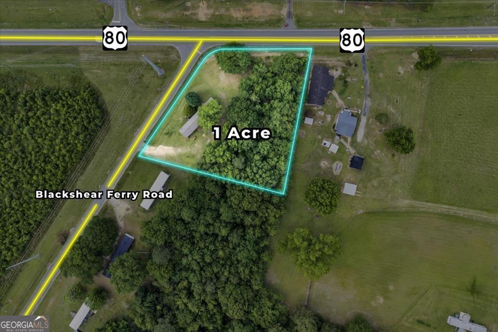1295 Blackshear Ferry Road Dudley, GA 31022 - Photo 2 of 16