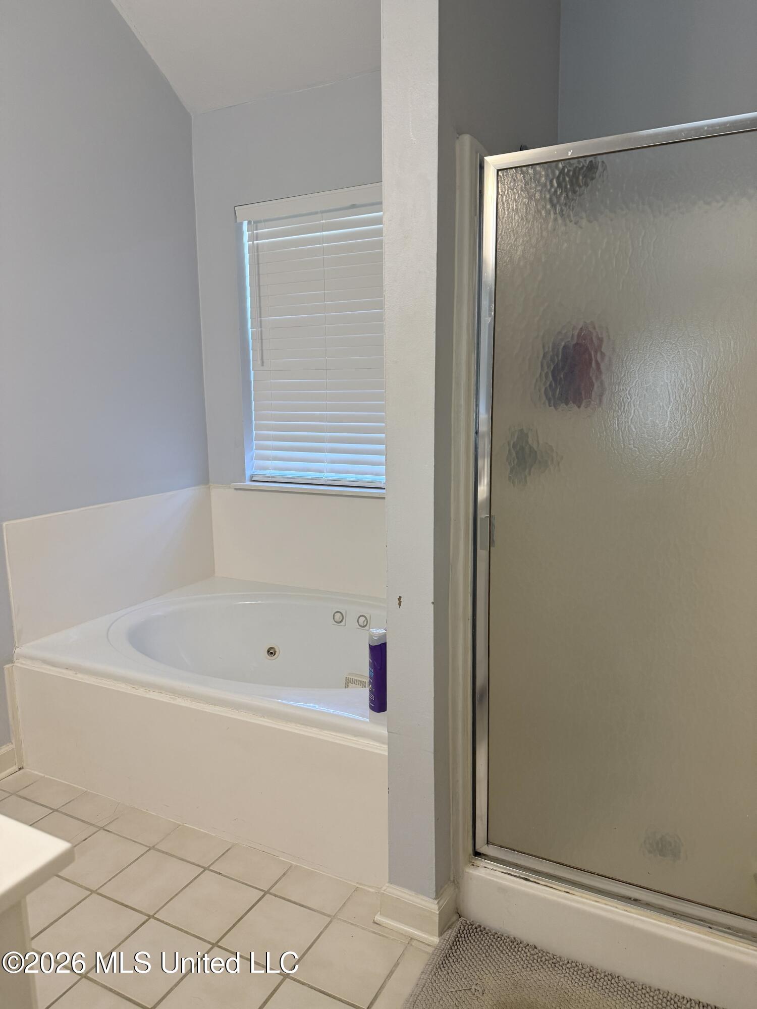 10 Estates Drive Flowood, MS 39232 - Photo 24 of 37 IMG_2985