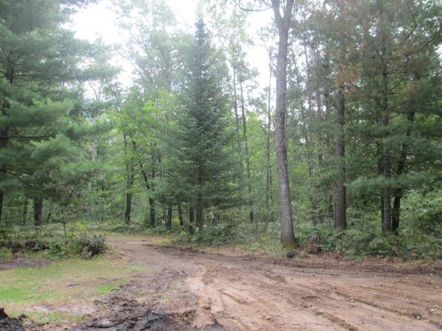 4982 Centerline Road Lewiston, MI 49756 - Photo 29 of 30 Gallery Image 29