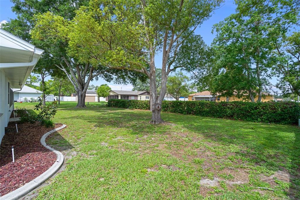 5035 Harbinger Road Spring Hill, FL 34608 - Photo 47 of 47 a view of a park with tree s